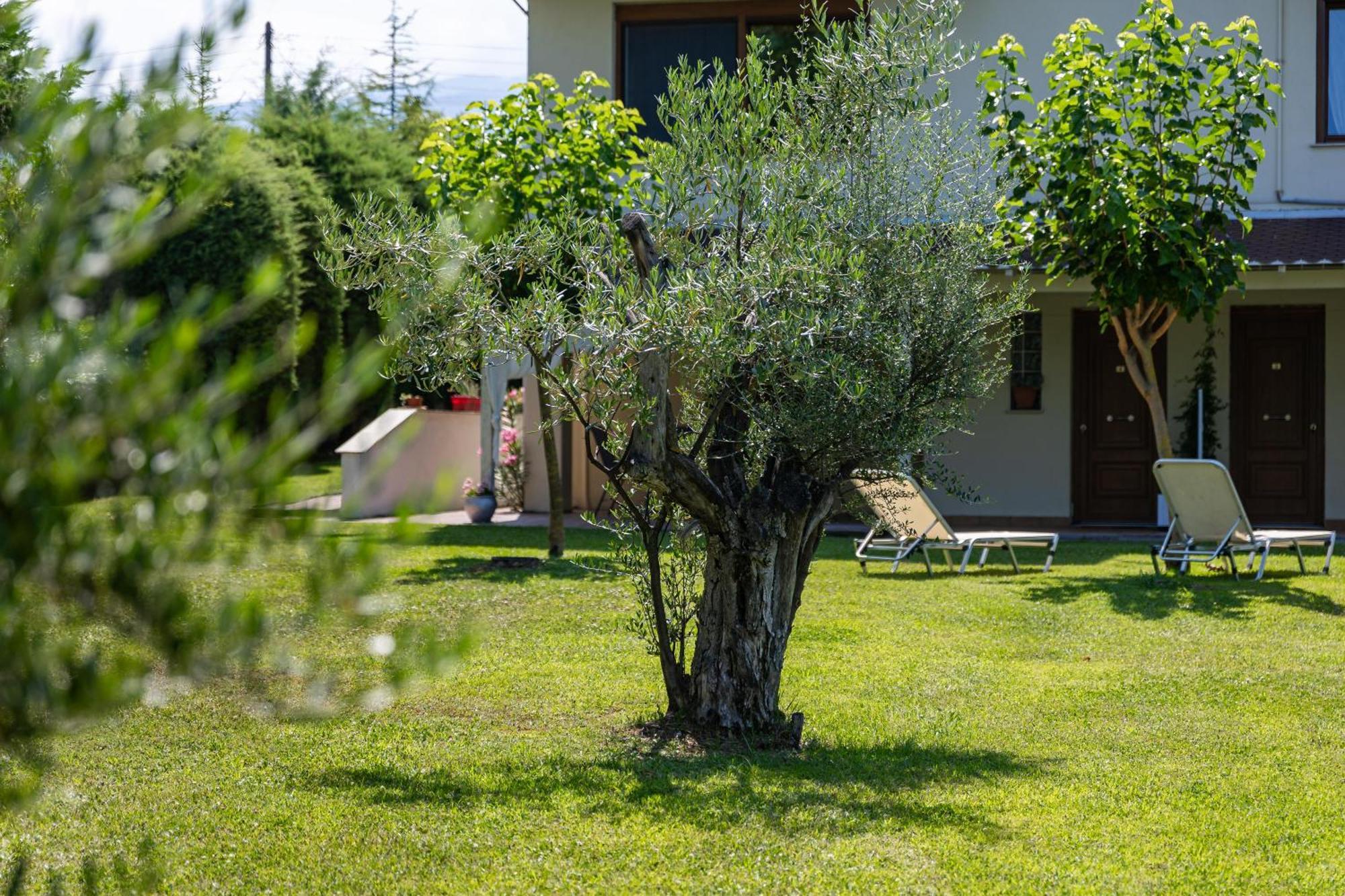 Holiday home The Olympus Garden House *